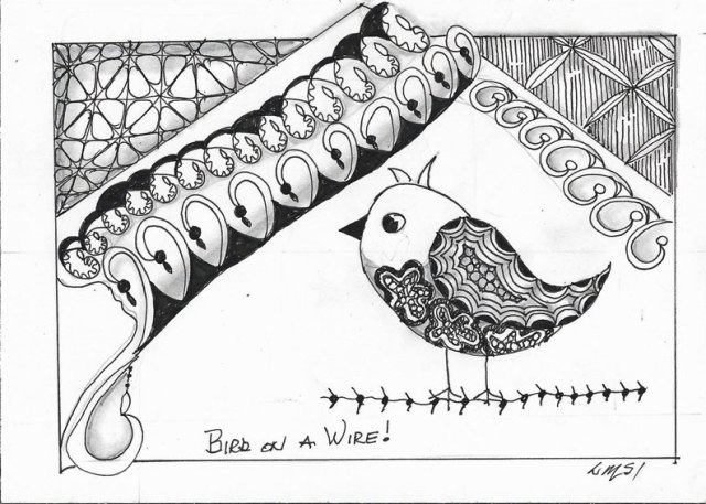 bird-on-a-wire